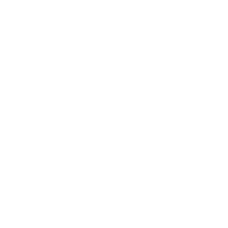 HOLO VAN