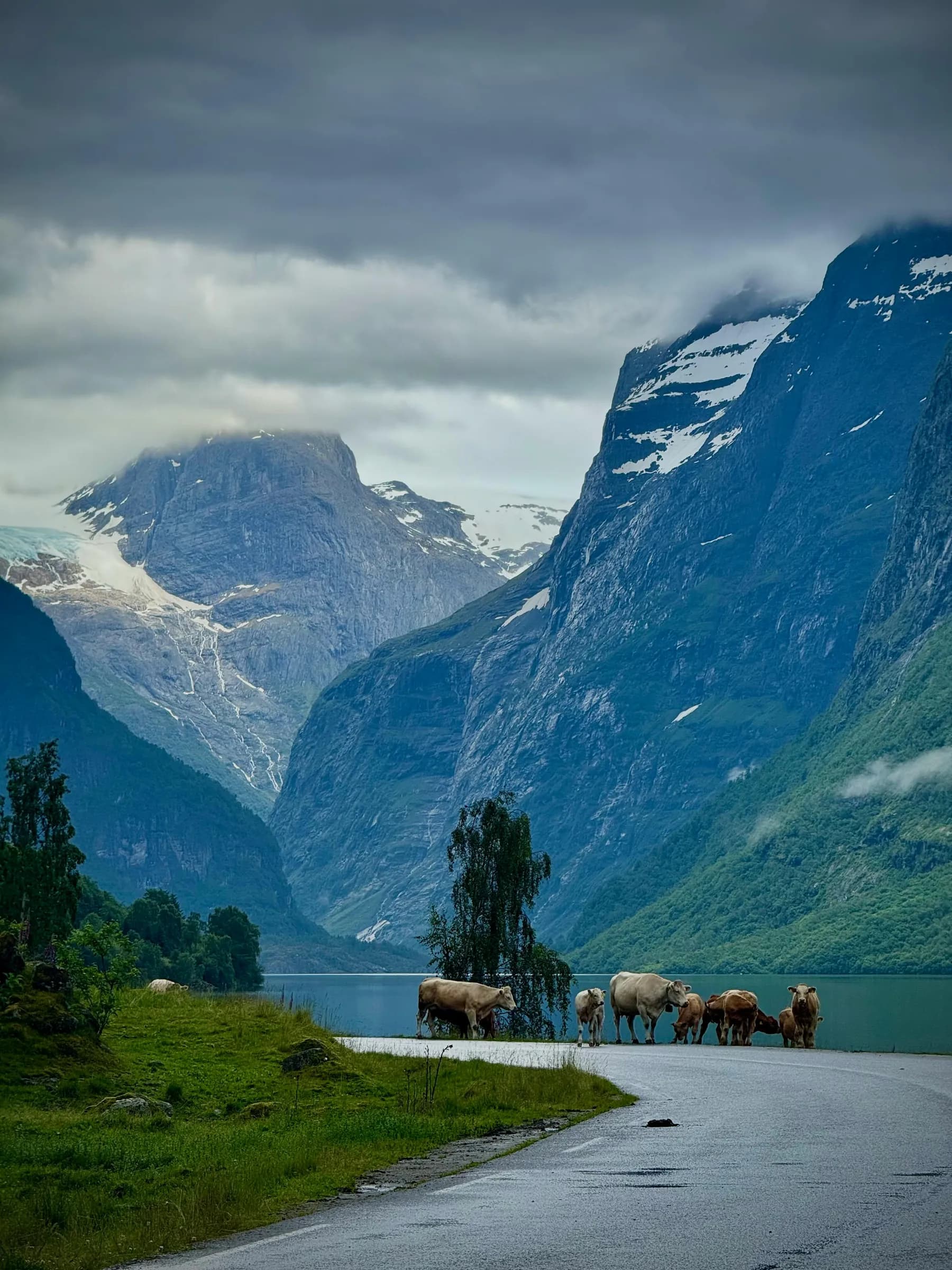 FROM MILAN TO THE FJORDS — VANLIFE NORWAY 8
